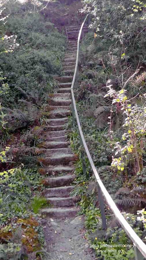 altamont house, altamont gardens, carlow, ireland, irish gardens, travel, travelogue, ailsa prideaux-mooney, irish houses