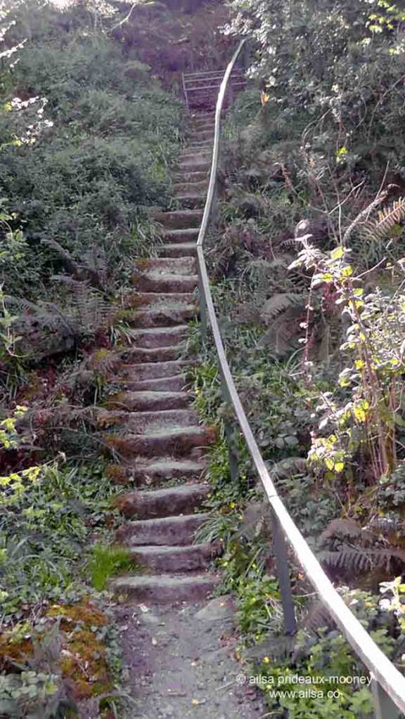 altamont house, altamont gardens, carlow, ireland, irish gardens, travel, travelogue, ailsa prideaux-mooney, irish houses