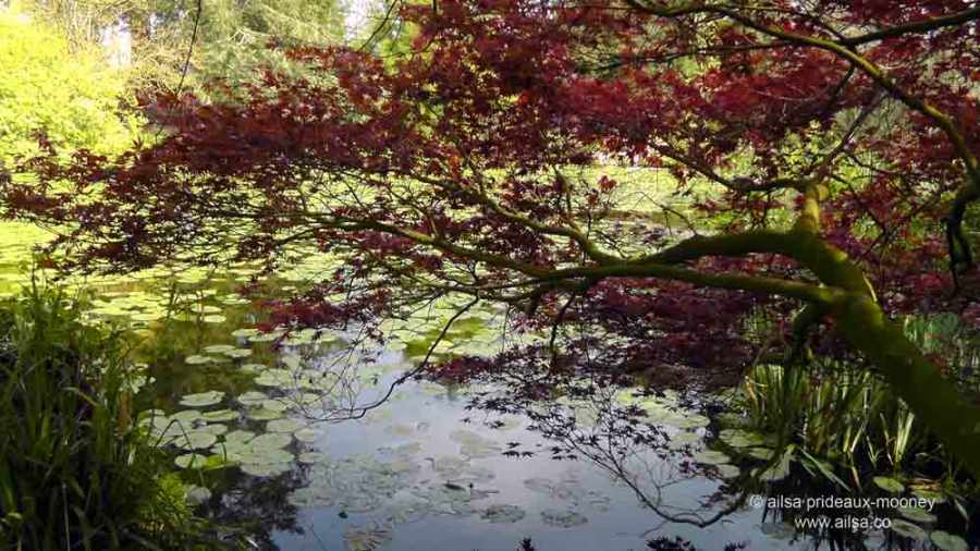 altamont house, altamont gardens, carlow, ireland, irish gardens, travel, travelogue, ailsa prideaux-mooney, irish houses