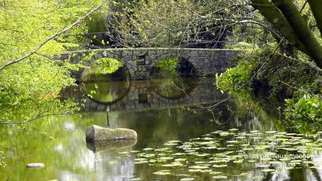 altamont house, altamont gardens, carlow, ireland, irish gardens, travel, travelogue, ailsa prideaux-mooney, irish houses