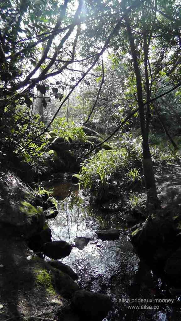 altamont house, altamont gardens, carlow, ireland, irish gardens, travel, travelogue, ailsa prideaux-mooney, irish houses