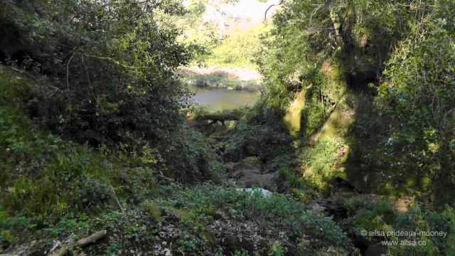 altamont house, altamont gardens, carlow, ireland, irish gardens, travel, travelogue, ailsa prideaux-mooney, irish houses