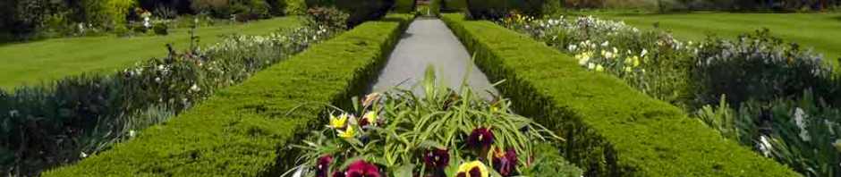 altamont house, altamont gardens, carlow, ireland, irish gardens, travel, travelogue, ailsa prideaux-mooney, irish houses