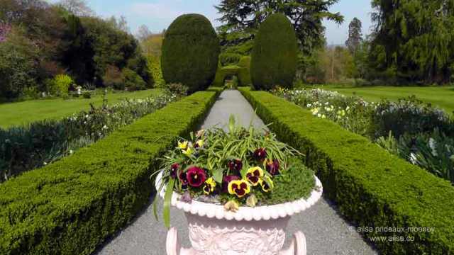 altamont house, altamont gardens, carlow, ireland, irish gardens, travel, travelogue, ailsa prideaux-mooney, irish houses