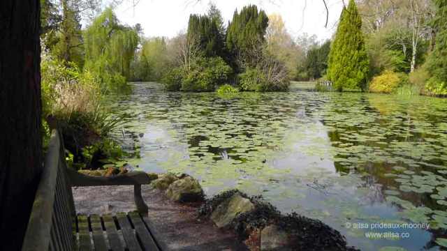 altamont house, altamont gardens, carlow, ireland, irish gardens, travel, travelogue, ailsa prideaux-mooney, irish houses