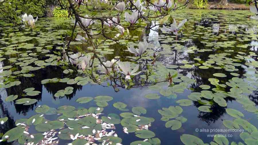 altamont house, altamont gardens, carlow, ireland, irish gardens, travel, travelogue, ailsa prideaux-mooney, irish houses