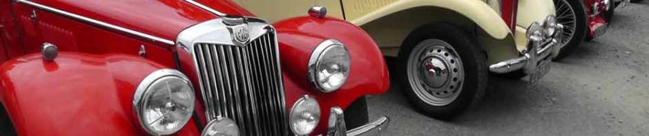 vintage car rally, irish veteran and vintage car club, powerscourt estate, picnic, travel, travelogue, ireland, ailsa prideaux-mooney