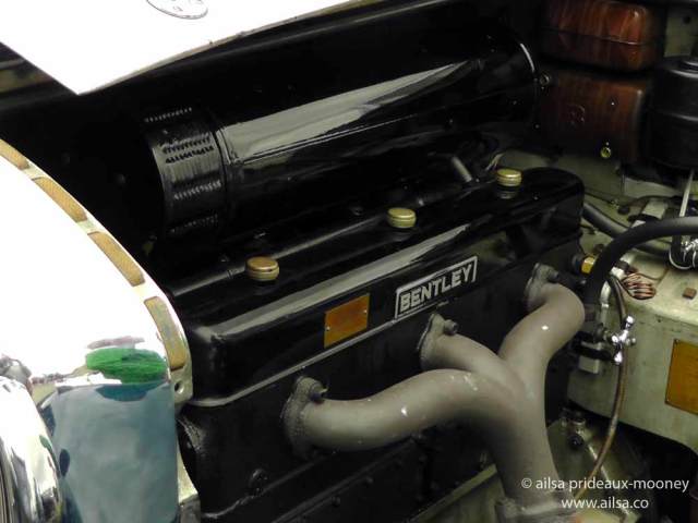 vintage car rally, irish veteran and vintage car club, powerscourt estate, picnic, travel, travelogue, ireland, ailsa prideaux-mooney, vintage bentley