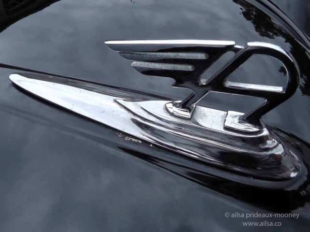 vintage car rally, irish veteran and vintage car club, powerscourt estate, picnic, travel, travelogue, ireland, ailsa prideaux-mooney, hood ornament