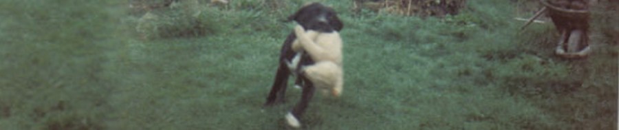 major, boxer, travel. travelogue, ailsa prideaux-mooney