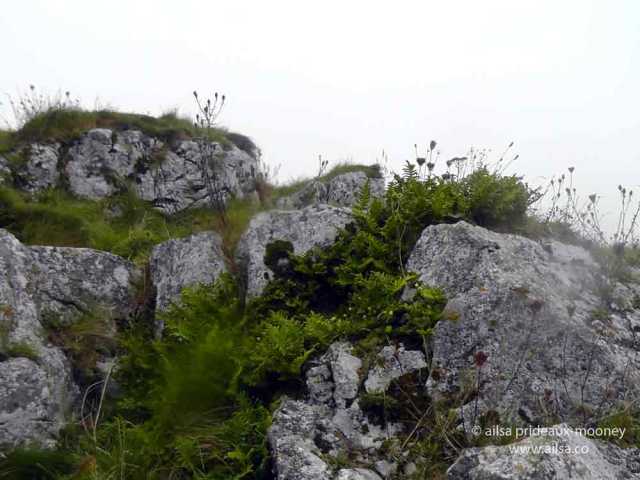 rock of dunamase, county laois, ireland, travel, strongbow, travelogue, photography, ailsa prideaux-mooney