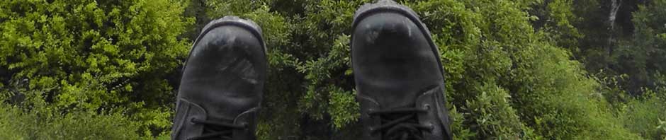 jungle boots, guatemala, tikal, travel, travelogue, ailsa prideaux-mooney