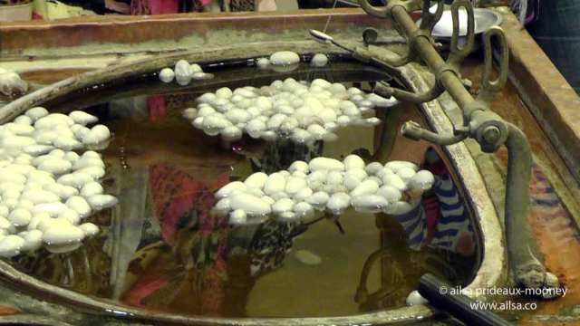 silk cocoon, silk, travel, travelogue, ailsa prideaux-mooney