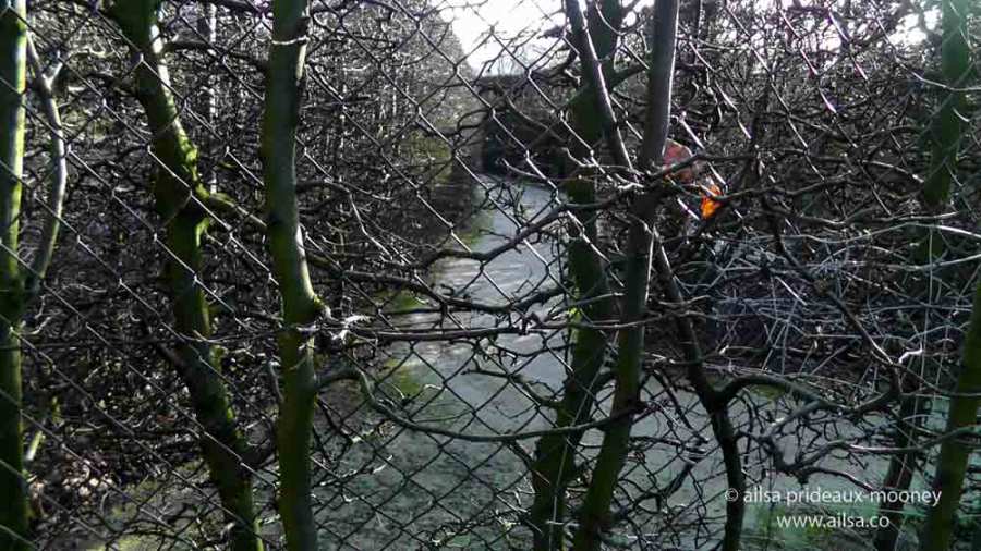 vaalserberg, neutral moresnet, Drielandenpunt, Dreiländereck, Viergrenzenweg, Vaals, Aachen, Belgium, Netherlands, Germany, Ailsa Prideaux-Mooney, travel, travelogue