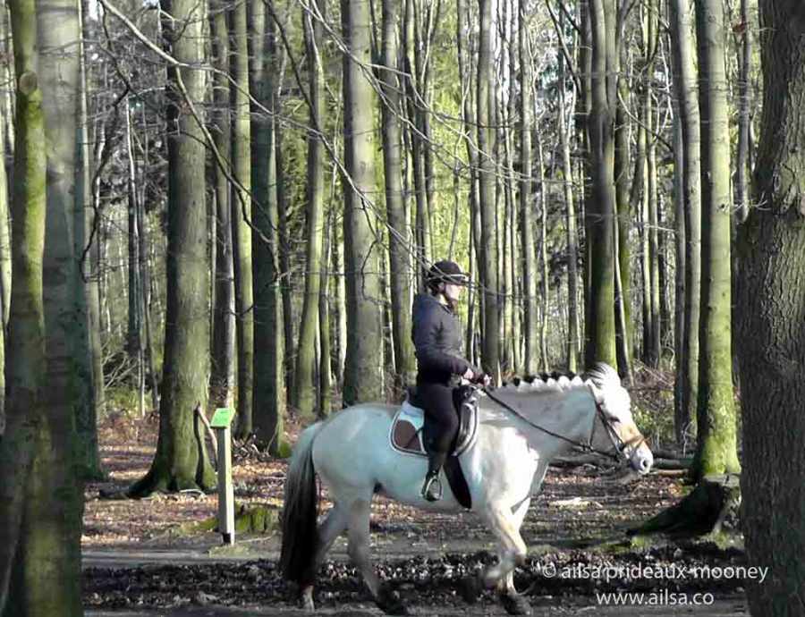 vaalserberg, neutral moresnet, Drielandenpunt, Dreiländereck, Viergrenzenweg, Vaals, Aachen, Belgium, Netherlands, Germany, Ailsa Prideaux-Mooney, travel, travelogue