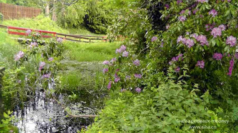 vale of avoca, meeting of the waters, wicklow, ireland, thomas moore, travel, travelogue, ailsa prideaux-mooney
