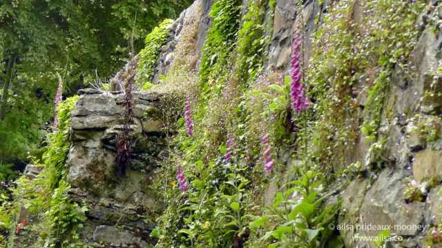 vale of avoca, meeting of the waters, wicklow, ireland, thomas moore, travel, travelogue, ailsa prideaux-mooney