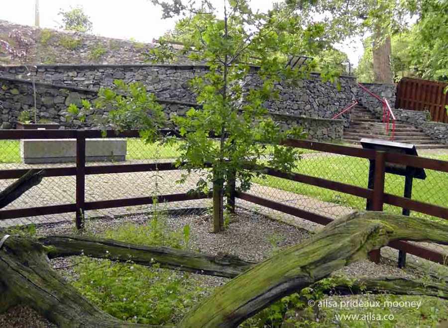 vale of avoca, meeting of the waters, wicklow, ireland, thomas moore, travel, travelogue, ailsa prideaux-mooney