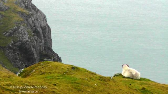 cliffs of sliabh liag, sliabh league, donegal, ireland, travel, travelogue, ailsa prideaux-mooney