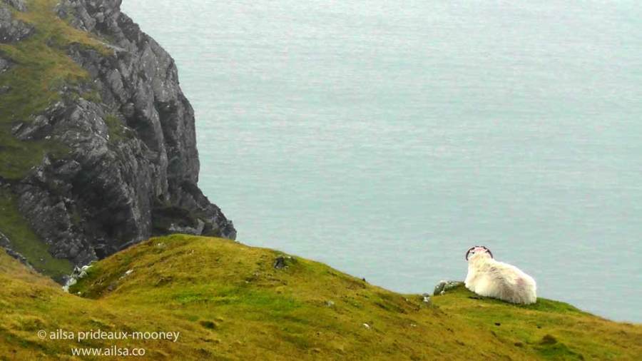 cliffs of sliabh liag, sliabh league, donegal, ireland, travel, travelogue, ailsa prideaux-mooney