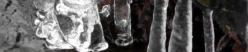 icicles, central park, new york, ailsa prideaux-mooney